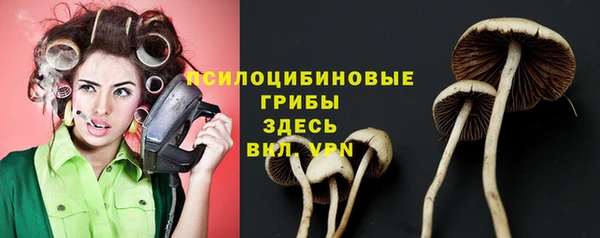 гидропоника Корсаков