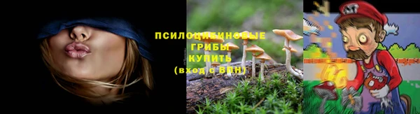 гидропоника Корсаков