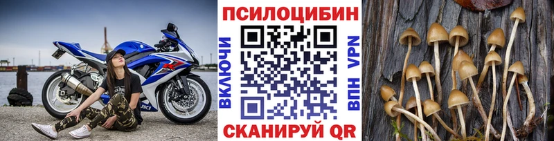Галлюциногенные грибы прущие грибы  Купить закладки  Бирюч 